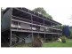 54 Koonwarra Street, Macleay Island QLD 4184