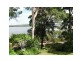 19 Coast Road, Macleay Island QLD 4184