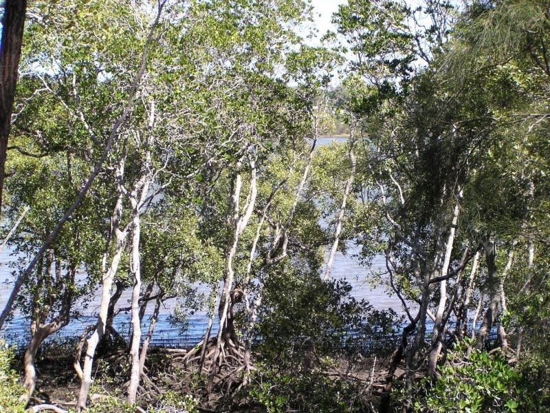 40 Calm Waters Crescent, Macleay Island QLD 4184