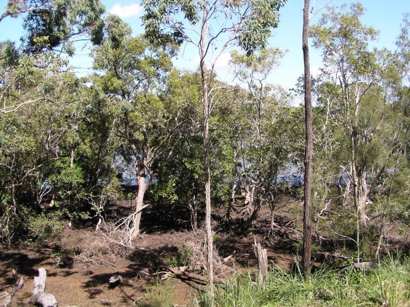 40 Calm Waters Crescent, Macleay Island QLD 4184
