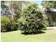 4 Coast Road, Macleay Island QLD 4184