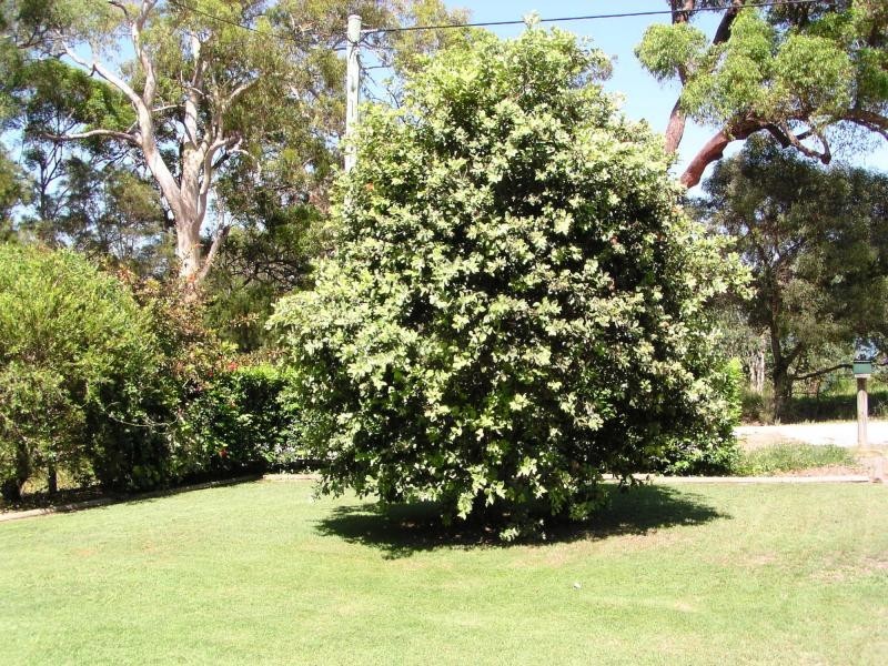 4 Coast Road, Macleay Island QLD 4184