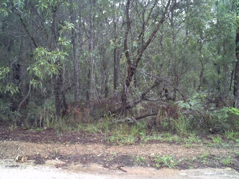 20 Pier Haven, Lamb Island QLD 4184
