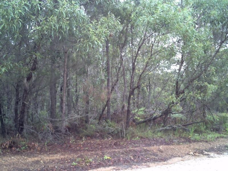 20 Pier Haven, Lamb Island QLD 4184