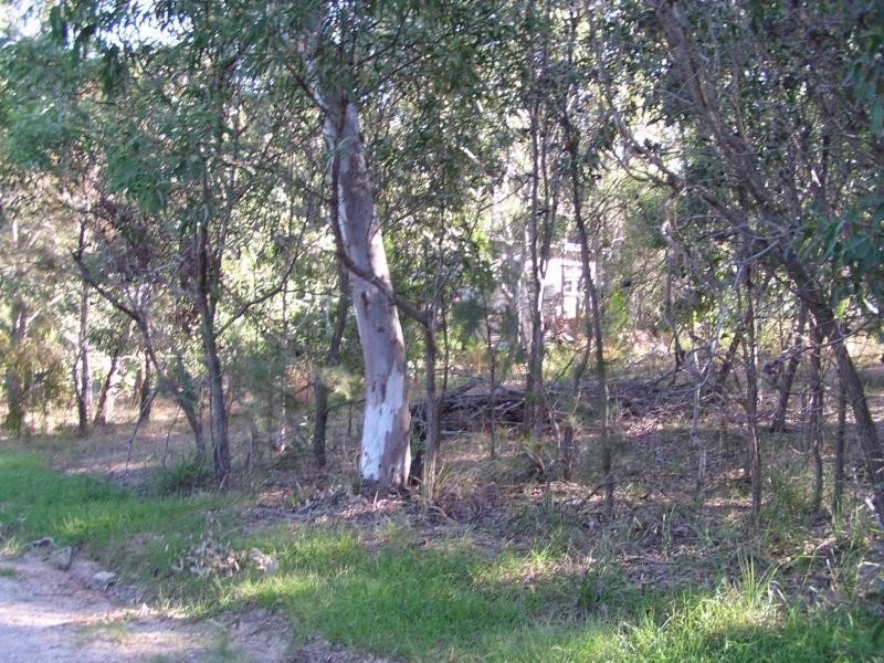 11 Atlantic Street, Lamb Island QLD 4184
