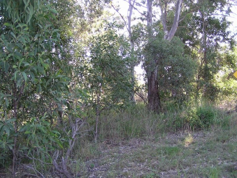 11 Atlantic Street, Lamb Island QLD 4184