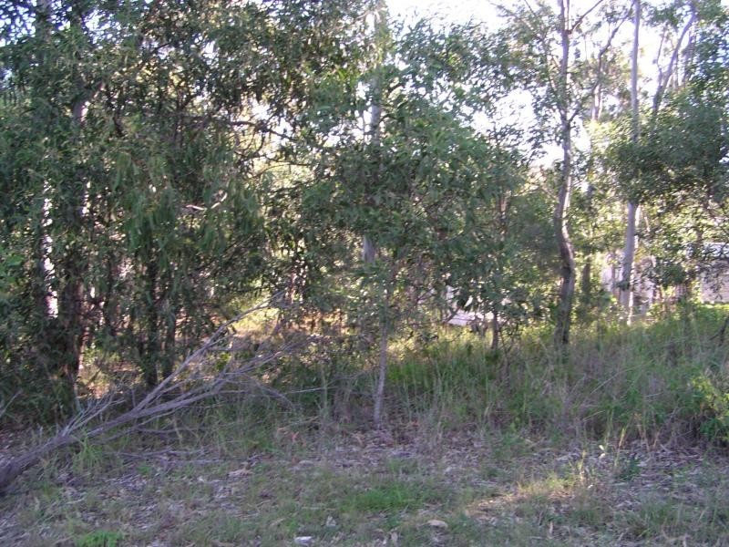 11 Atlantic Street, Lamb Island QLD 4184