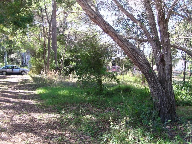 50 Treasure Island Avenue, Karragarra Island QLD 4184