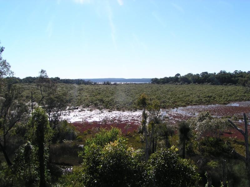 8 Timothy Street, Macleay Island QLD 4184