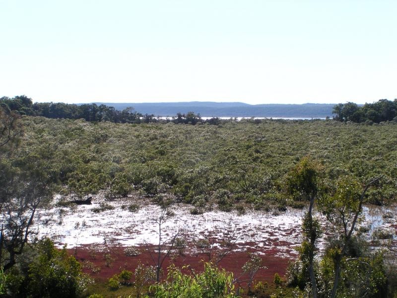 8 Timothy Street, Macleay Island QLD 4184