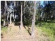 30 Florence Street, Macleay Island QLD 4184