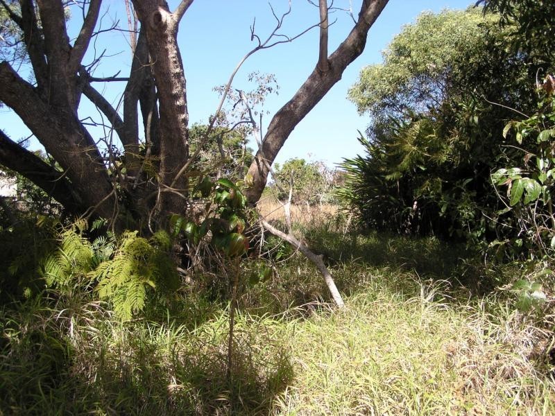 82 Hastings Terrace, Macleay Island QLD 4184