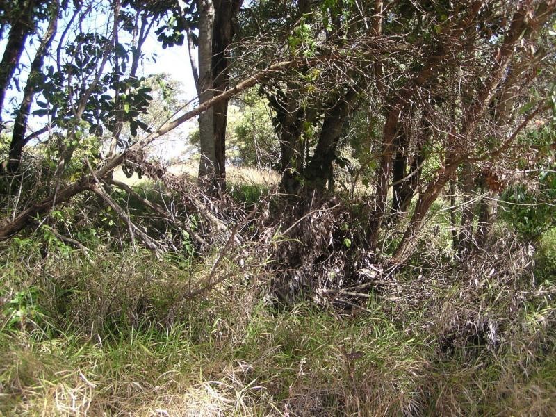 82 Hastings Terrace, Macleay Island QLD 4184