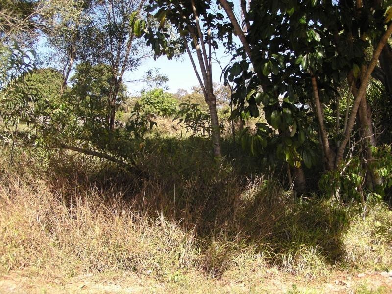 82 Hastings Terrace, Macleay Island QLD 4184
