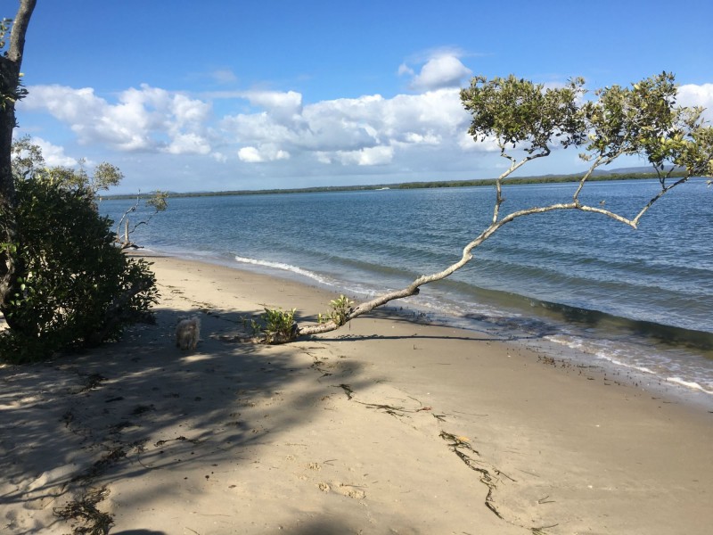 19 Noyes Parade, Karragarra Island QLD 4184