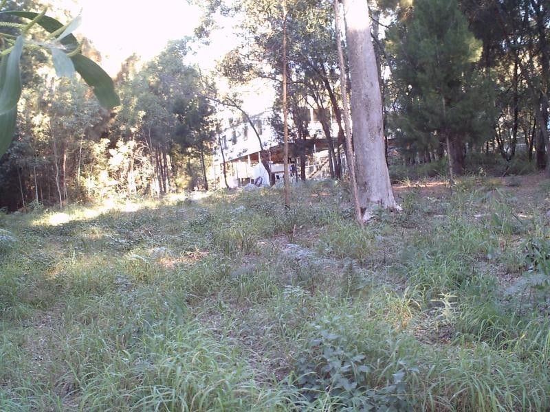 6 Attunga Street, Macleay Island QLD 4184