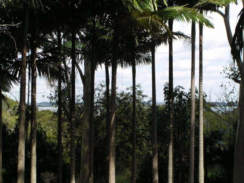 2 McBean Road, Karragarra Island QLD 4184