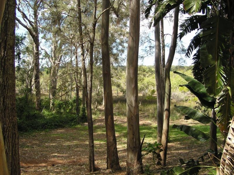 2 McBean Road, Karragarra Island QLD 4184