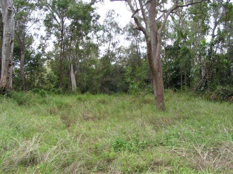 41 Blue Bay Crescent, Macleay Island QLD 4184