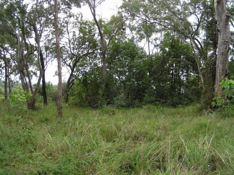 41 Blue Bay Crescent, Macleay Island QLD 4184