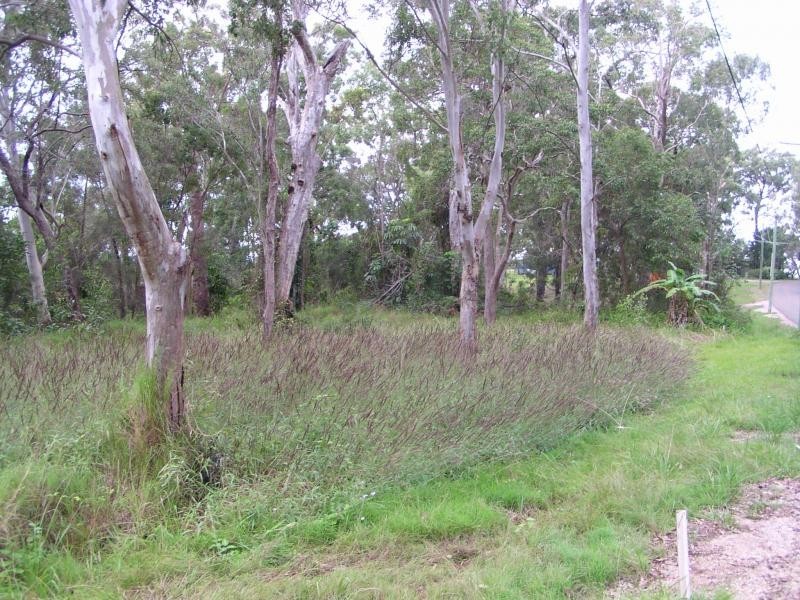 41 Blue Bay Crescent, Macleay Island QLD 4184