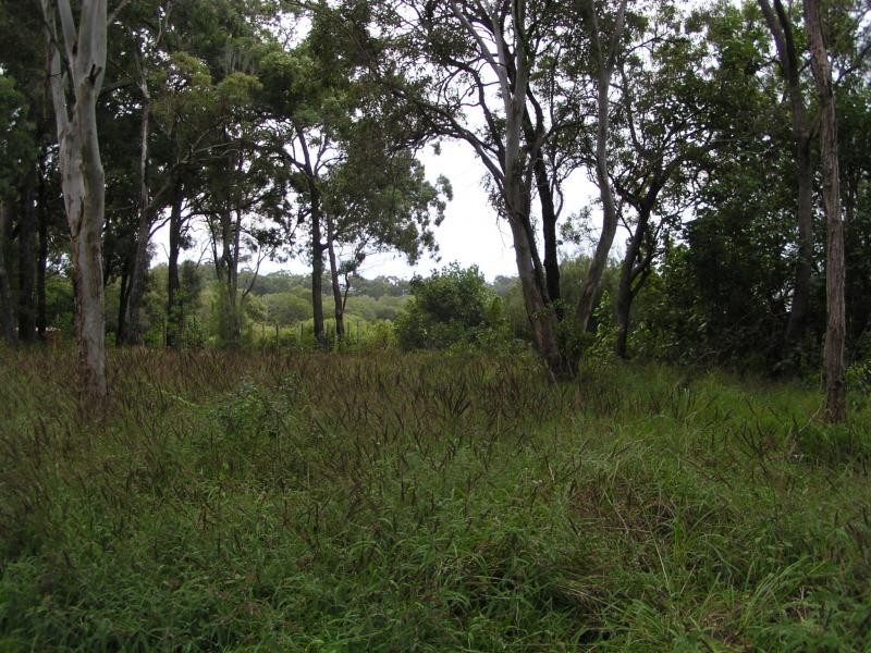 41 Blue Bay, Macleay Island QLD 4184