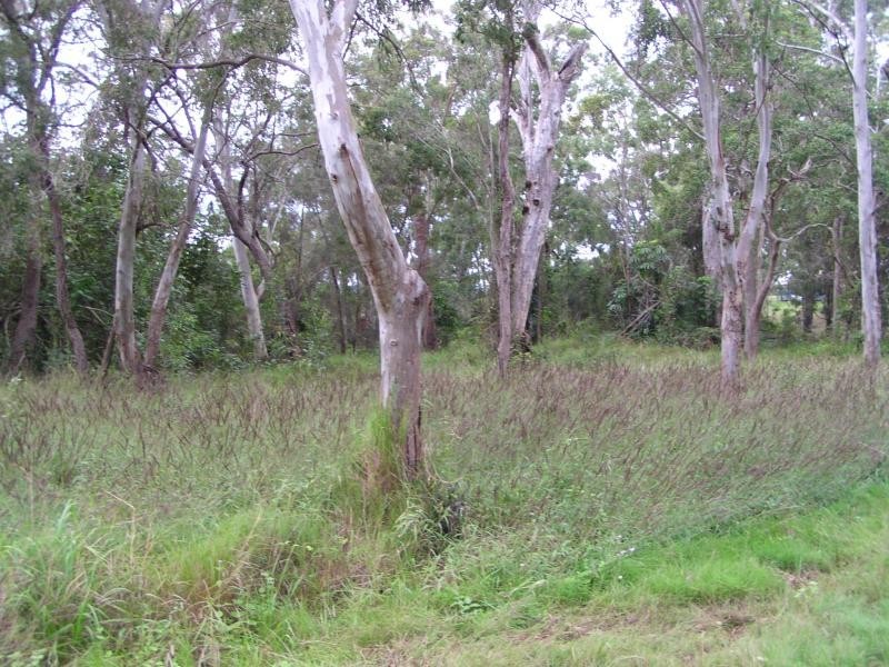 37 Blue Bay Crescent, Macleay Island QLD 4184