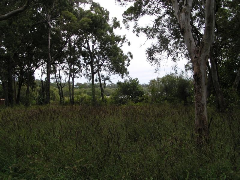 37 Blue Bay Crescent, Macleay Island QLD 4184