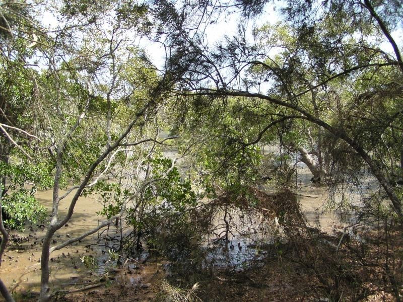 32 Goodsell Crescent, Lamb Island QLD 4184