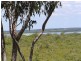 54 Treasure Island Avenue, Karragarra Island QLD 4184