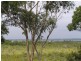 54 Treasure Island Avenue, Karragarra Island QLD 4184
