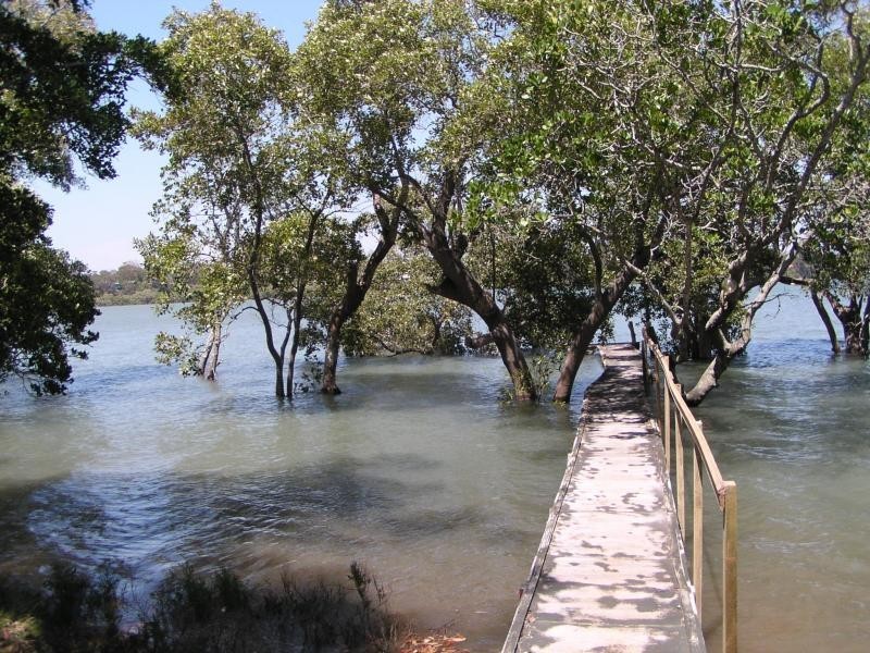 44 Calm Waters Crescent, Macleay Island QLD 4184