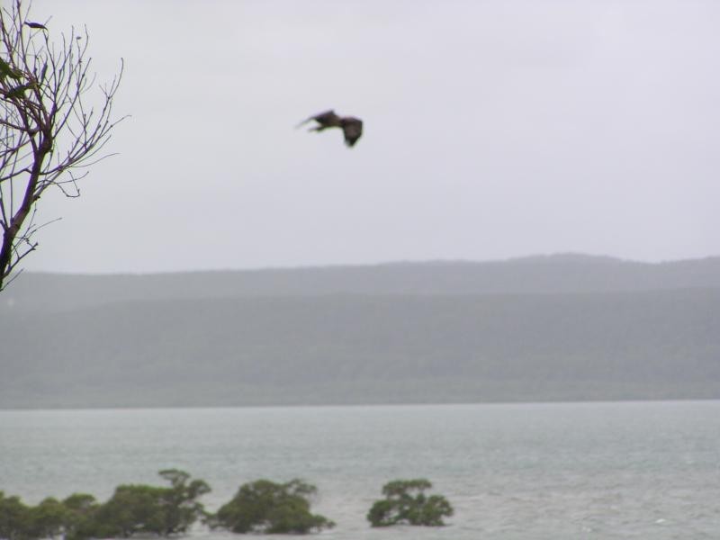 7 Golden Sands Boulevard, Macleay Island QLD 4184