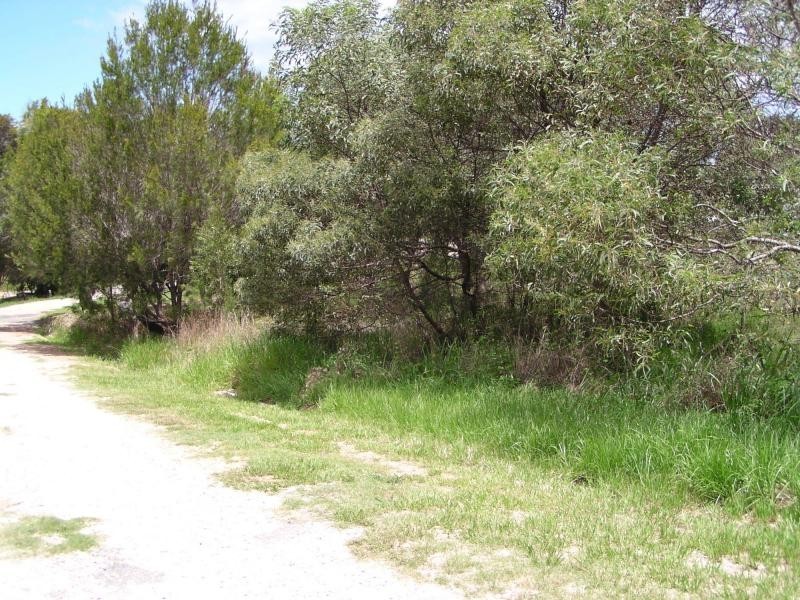 49 Timothy Street, Macleay Island QLD 4184