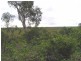 62 Treasure Island Avenue, Karragarra Island QLD 4184