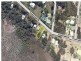 62 Treasure Island Avenue, Karragarra Island QLD 4184