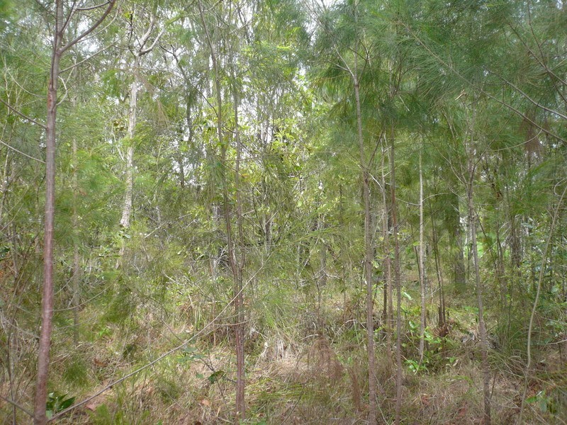 15 Rhodes Street, Macleay Island QLD 4184