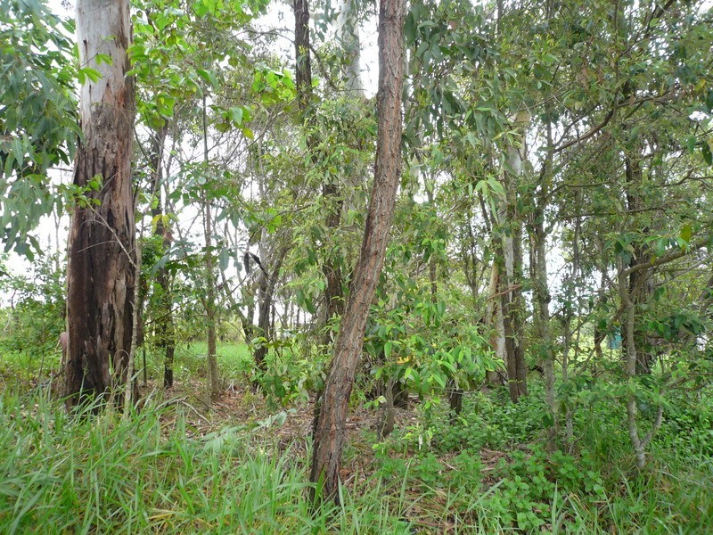 117 High Central Road, Macleay Island QLD 4184