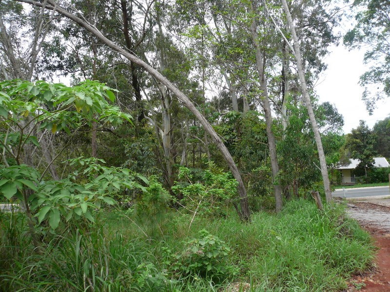 117 High Central Road, Macleay Island QLD 4184