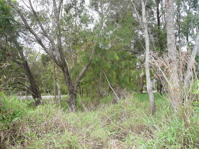 117 High Central Road, Macleay Island QLD 4184