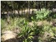 113 High Central Road, Macleay Island QLD 4184