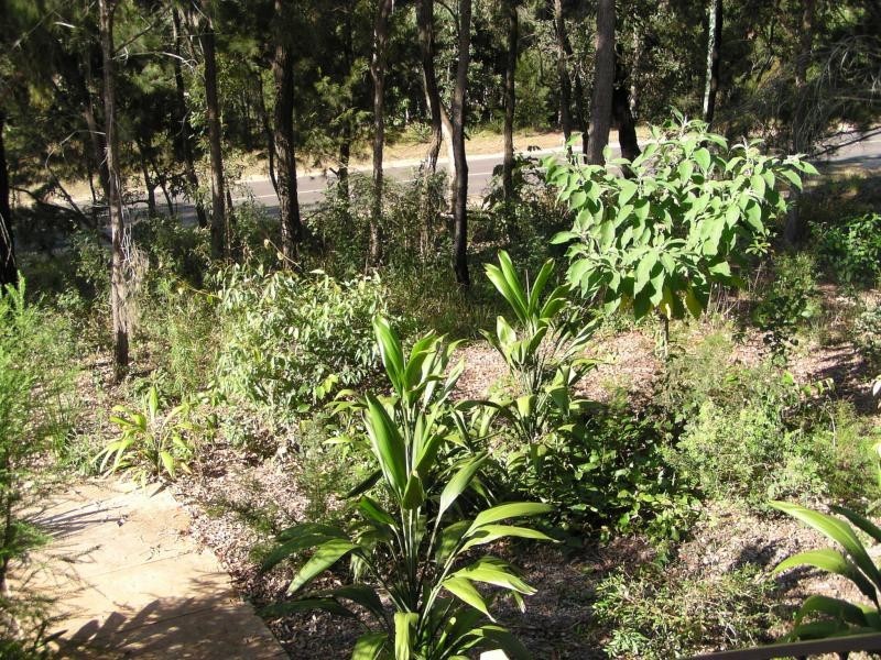 113 High Central Road, Macleay Island QLD 4184