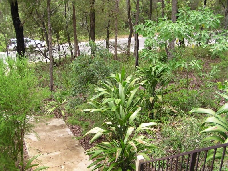 113 High Central Road, Macleay Island QLD 4184