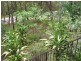 113 High Central Road, Macleay Island QLD 4184