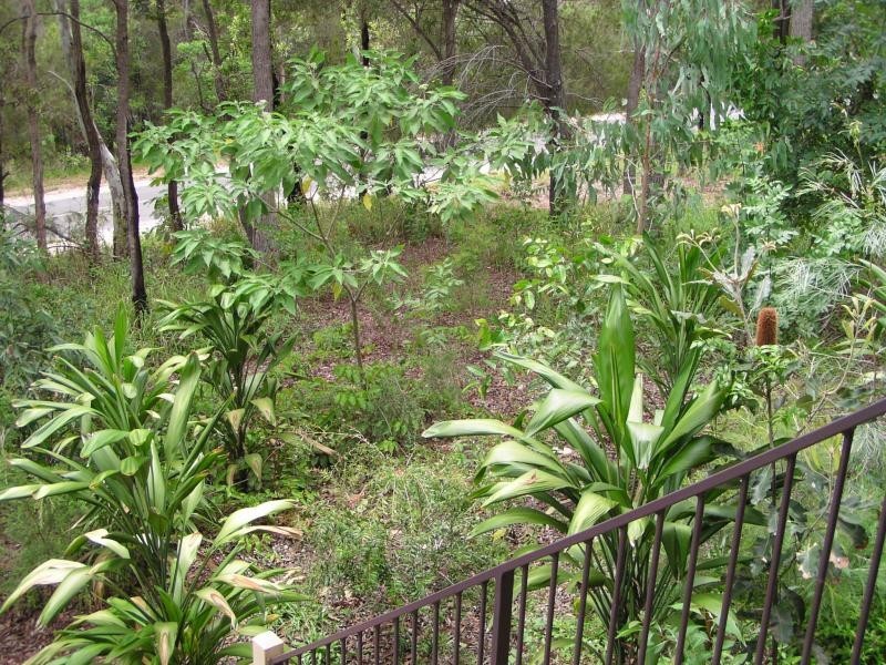113 High Central Road, Macleay Island QLD 4184