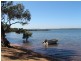 26 Oomool Street, Macleay Island QLD 4184