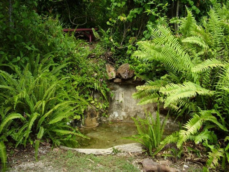 87 Coondooroopa Drive, Macleay Island QLD 4184