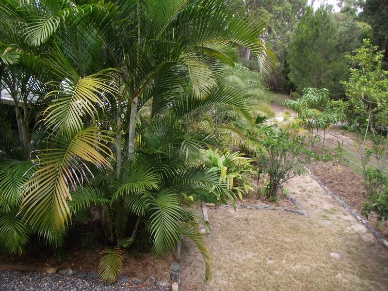 9 Aruma Street, Macleay Island QLD 4184