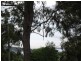 4 Pindarri Street, Lamb Island QLD 4184