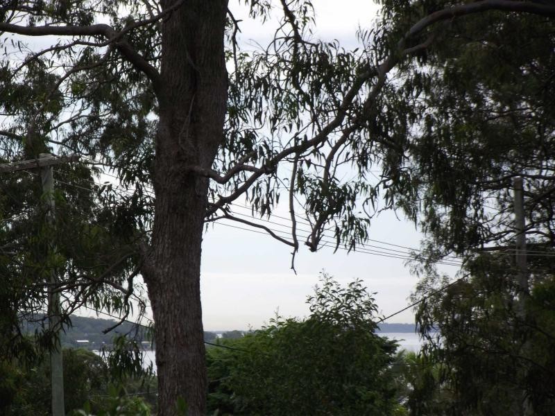 4 Pindarri Street, Lamb Island QLD 4184